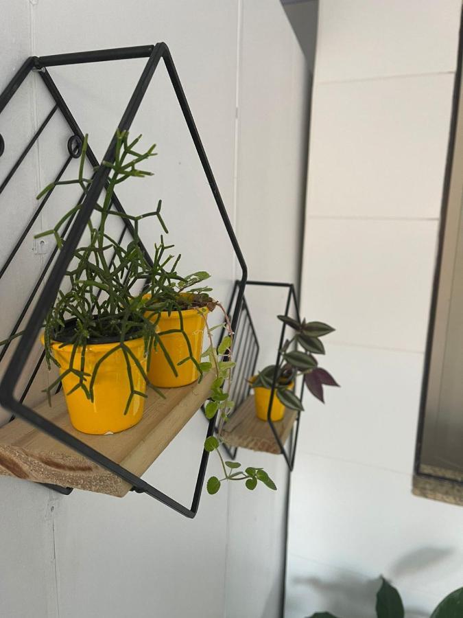 Hospedagem Confortavel E Pratica Para Viajantes E Ferias - Proxima A Br-101 Sao Jose  Exteriör bild
